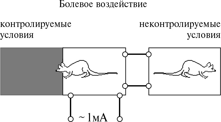 Стой, кто ведет? Биология поведения человека и других зверей Стой, кто ведет? Биология поведения человека и других зверей