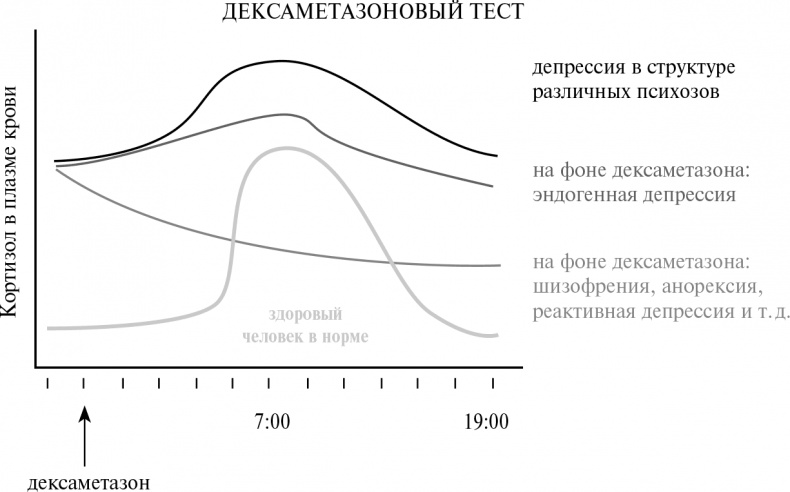 Стой, кто ведет? Биология поведения человека и других зверей Стой, кто ведет? Биология поведения человека и других зверей