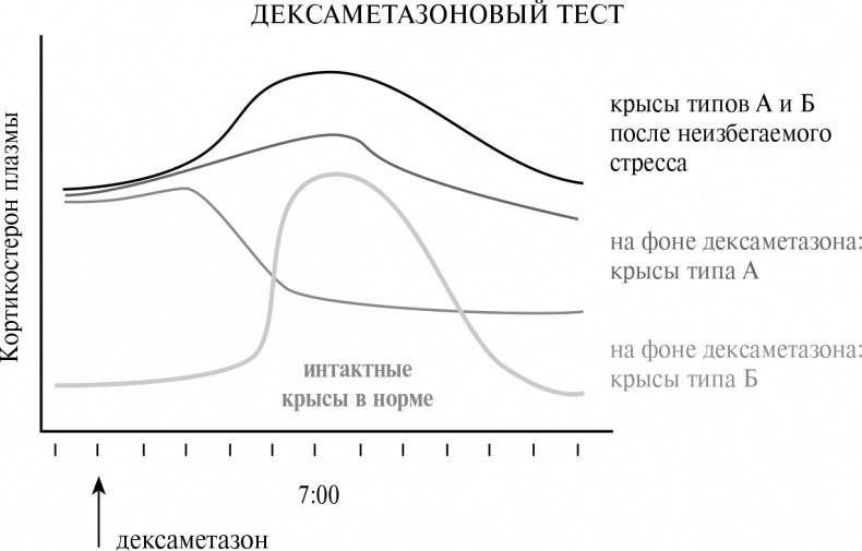 Стой, кто ведет? Биология поведения человека и других зверей Стой, кто ведет? Биология поведения человека и других зверей