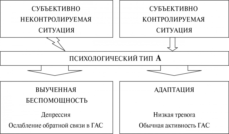 Стой, кто ведет? Биология поведения человека и других зверей Стой, кто ведет? Биология поведения человека и других зверей