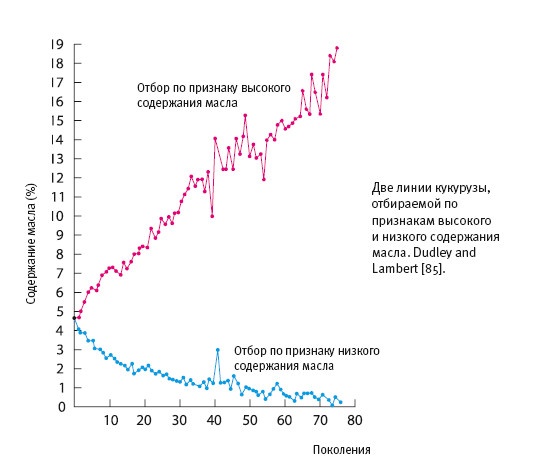 Рассказ предка. Паломничество к истокам жизни Рассказ предка. Паломничество к истокам жизни
