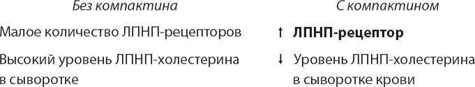 Закон "джунглей". В поисках формулы жизни Закон "джунглей". В поисках формулы жизни