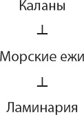 Закон "джунглей". В поисках формулы жизни Закон "джунглей". В поисках формулы жизни