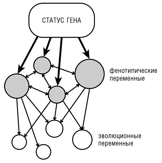 Логика случая. О природе и происхождении биологической эволюции Логика случая. О природе и происхождении биологической эволюции