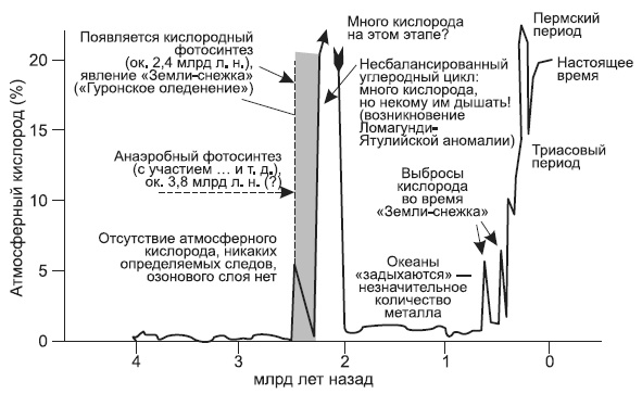 Новая история происхождения жизни на Земле Новая история происхождения жизни на Земле