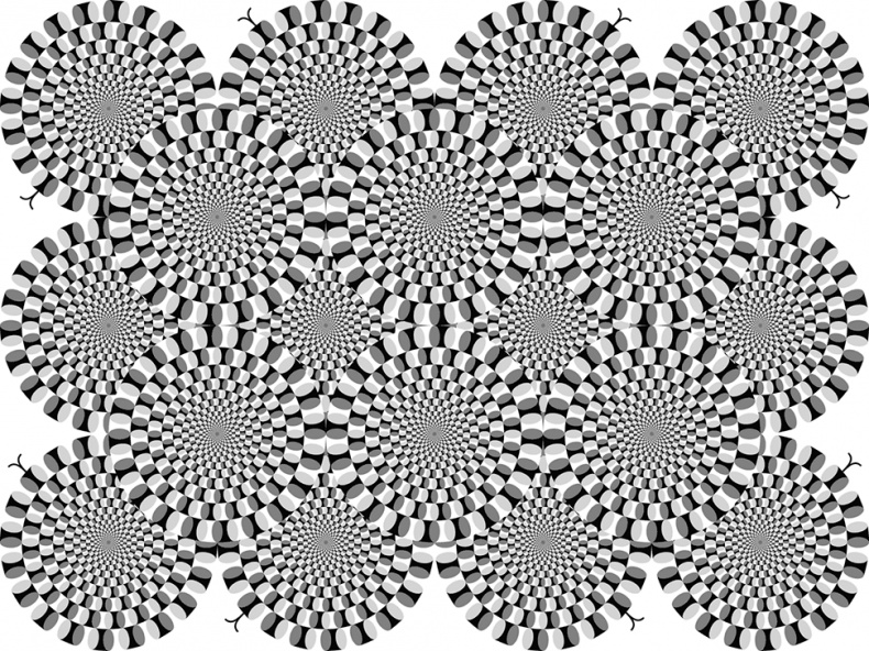 Мозг. Ваша личная история