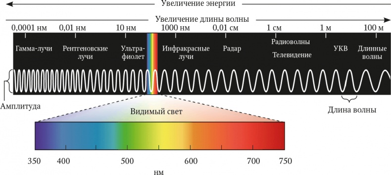 Мозг. Ваша личная история Мозг. Ваша личная история
