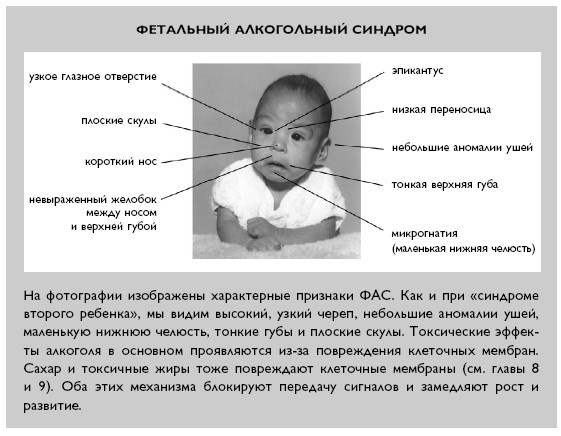 Умный ген. Какая еда нужна нашей ДНК Умный ген. Какая еда нужна нашей ДНК