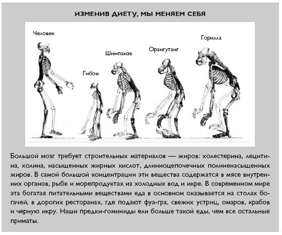 Умный ген. Какая еда нужна нашей ДНК Умный ген. Какая еда нужна нашей ДНК