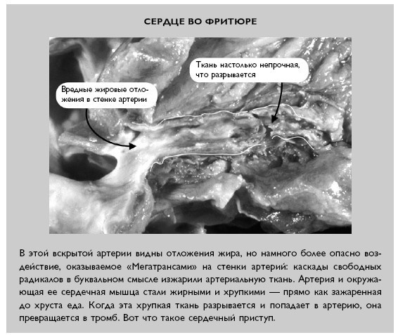 Умный ген. Какая еда нужна нашей ДНК Умный ген. Какая еда нужна нашей ДНК