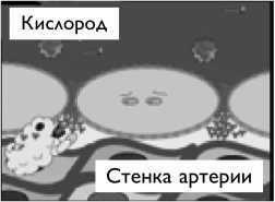 Умный ген. Какая еда нужна нашей ДНК Умный ген. Какая еда нужна нашей ДНК