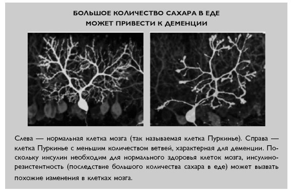 Умный ген. Какая еда нужна нашей ДНК Умный ген. Какая еда нужна нашей ДНК