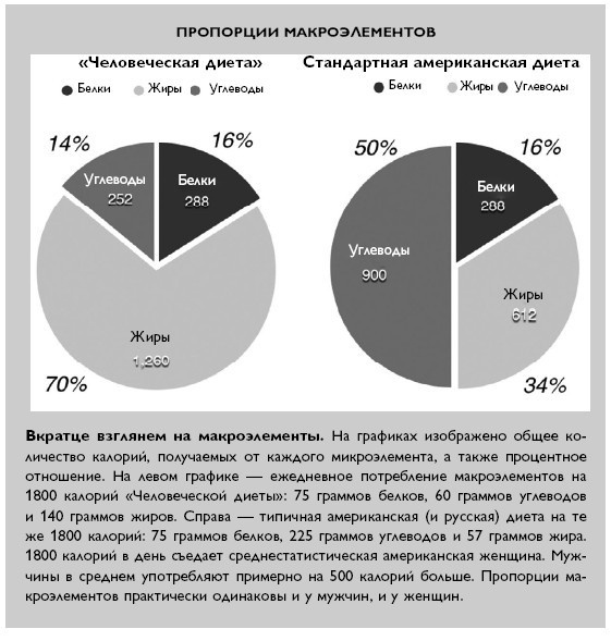 Умный ген. Какая еда нужна нашей ДНК Умный ген. Какая еда нужна нашей ДНК