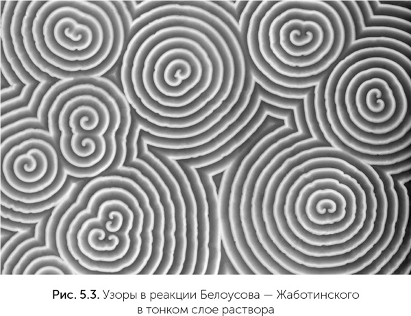 Происхождение жизни. От туманности до клетки Происхождение жизни. От туманности до клетки
