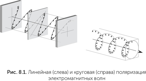 Происхождение жизни. От туманности до клетки Происхождение жизни. От туманности до клетки