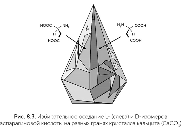 Происхождение жизни. От туманности до клетки Происхождение жизни. От туманности до клетки