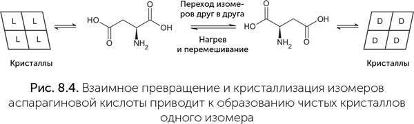 Происхождение жизни. От туманности до клетки Происхождение жизни. От туманности до клетки
