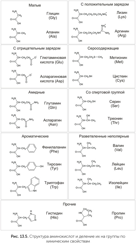 Происхождение жизни. От туманности до клетки Происхождение жизни. От туманности до клетки