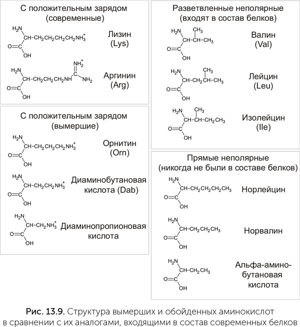 Происхождение жизни. От туманности до клетки Происхождение жизни. От туманности до клетки