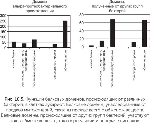Происхождение жизни. От туманности до клетки Происхождение жизни. От туманности до клетки