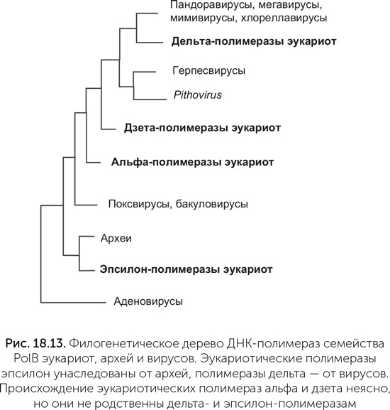 Происхождение жизни. От туманности до клетки Происхождение жизни. От туманности до клетки