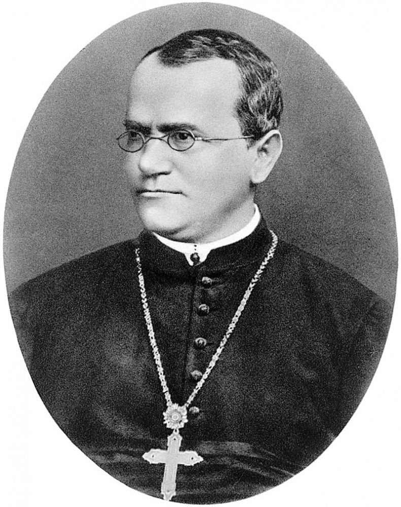 Генетика за 1 час Генетика за 1 час