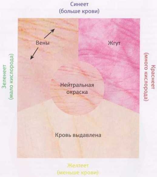 Революция в зрении. Что, как и почему мы видим на самом деле Революция в зрении. Что, как и почему мы видим на самом деле