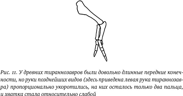 Хроники тираннозавра. Биология и эволюция самого известного хищника в мире Хроники тираннозавра. Биология и эволюция самого известного хищника в мире