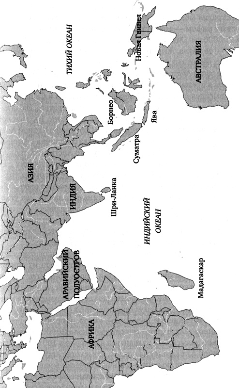 Генетическая одиссея человека Генетическая одиссея человека