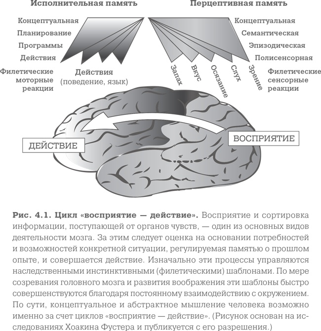 Мозг. Тонкая настройка. Наша жизнь с точки зрения нейронауки Мозг. Тонкая настройка. Наша жизнь с точки зрения нейронауки