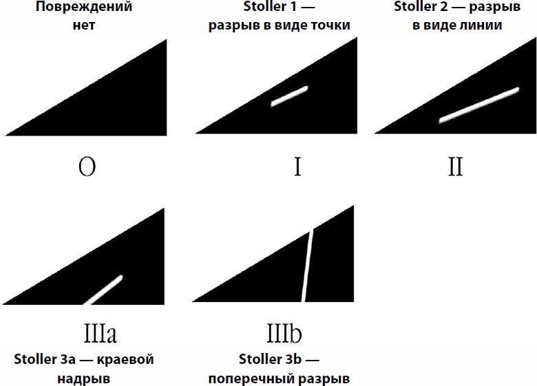 Пора лечиться правильно. Медицинская энциклопедия Пора лечиться правильно. Медицинская энциклопедия
