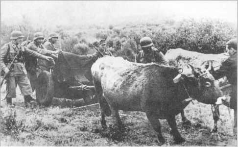 Wehrmacht. Сухопутные войска III Рейха Wehrmacht. Сухопутные войска III Рейха