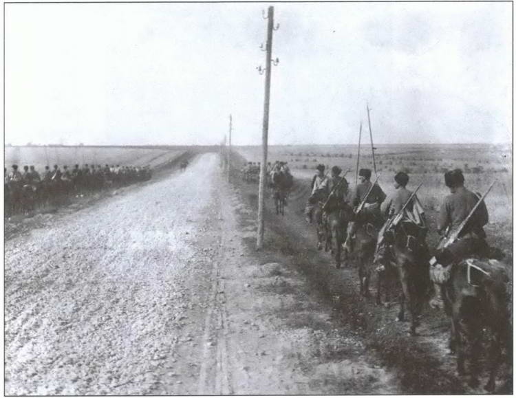 Великая война на Кавказском фронте. 1914-1917 гг.