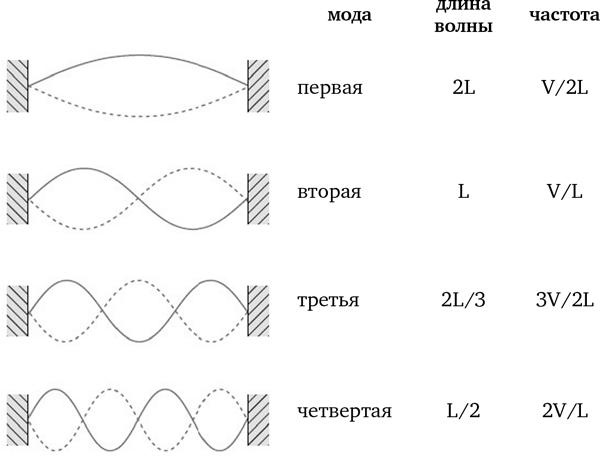 Красота физики. Постигая устройство природы Красота физики. Постигая устройство природы
