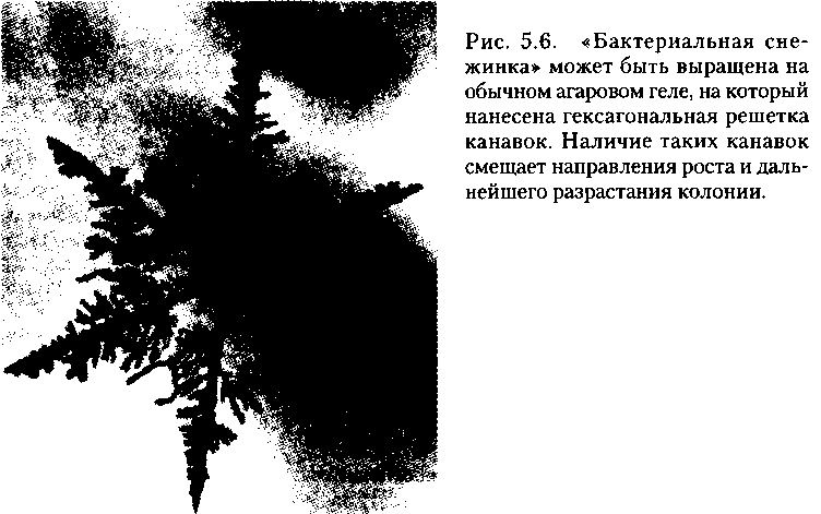 Критическая масса. Как одни явления порождают другие Критическая масса. Как одни явления порождают другие