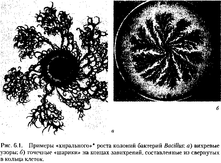 Критическая масса. Как одни явления порождают другие Критическая масса. Как одни явления порождают другие