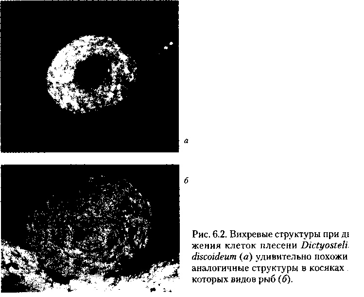Критическая масса. Как одни явления порождают другие Критическая масса. Как одни явления порождают другие