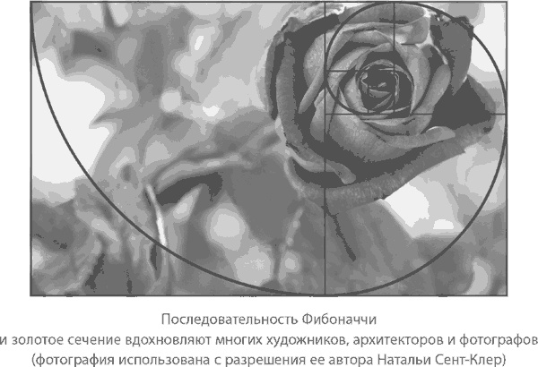 Магия математики. Как найти x и зачем это нужно Магия математики. Как найти x и зачем это нужно