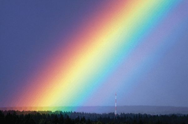 Сквозь зеркало языка