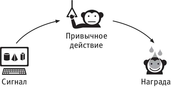 Власть привычки. Почему мы живем и работаем именно так, а не иначе