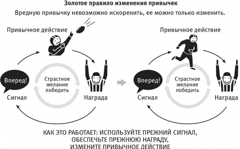 Власть привычки. Почему мы живем и работаем именно так, а не иначе Власть привычки. Почему мы живем и работаем именно так, а не иначе