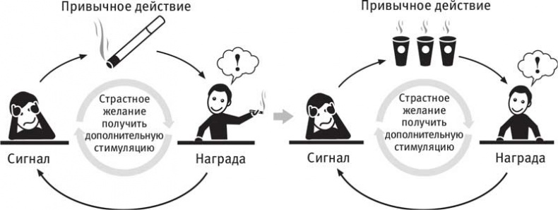 Власть привычки. Почему мы живем и работаем именно так, а не иначе Власть привычки. Почему мы живем и работаем именно так, а не иначе