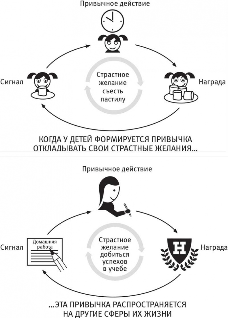 Власть привычки. Почему мы живем и работаем именно так, а не иначе Власть привычки. Почему мы живем и работаем именно так, а не иначе