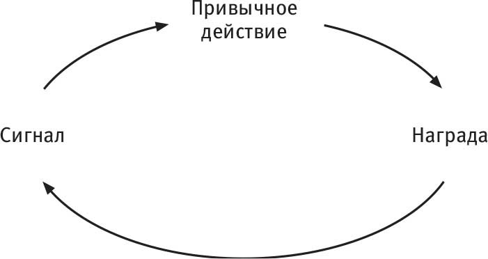 Власть привычки. Почему мы живем и работаем именно так, а не иначе Власть привычки. Почему мы живем и работаем именно так, а не иначе