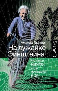 На лужайке Эйнштейна. Что такое НИЧТО, и где начинается ВСЕ - Аманда Гефтер
