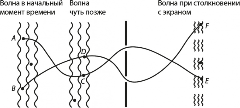 Вселенная. Курс выживания среди черных дыр, временных парадоксов, квантовой неопределенности Вселенная. Курс выживания среди черных дыр, временных парадоксов, квантовой неопределенности