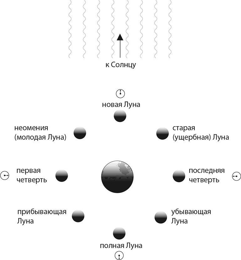 Вселенная. Курс выживания среди черных дыр, временных парадоксов, квантовой неопределенности Вселенная. Курс выживания среди черных дыр, временных парадоксов, квантовой неопределенности