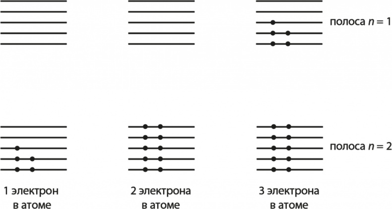 Вселенная. Курс выживания среди черных дыр, временных парадоксов, квантовой неопределенности Вселенная. Курс выживания среди черных дыр, временных парадоксов, квантовой неопределенности