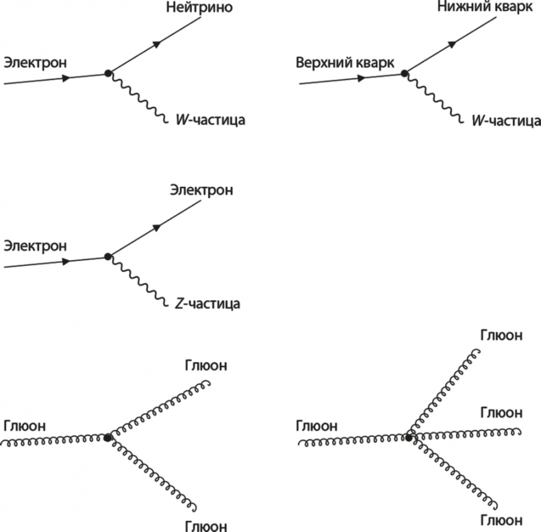 Вселенная. Курс выживания среди черных дыр, временных парадоксов, квантовой неопределенности Вселенная. Курс выживания среди черных дыр, временных парадоксов, квантовой неопределенности