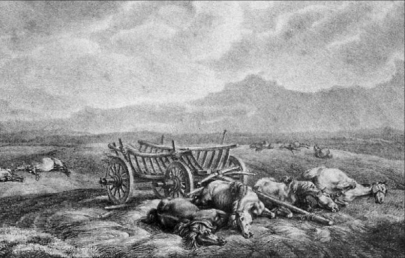 1812. Фатальный марш на Москву 1812. Фатальный марш на Москву